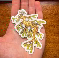 Image 2 of Leafy Sea Dragon Sticker 