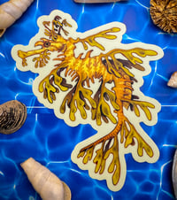 Image 1 of Leafy Sea Dragon Sticker 