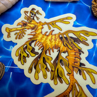 Image 3 of Leafy Sea Dragon Sticker 