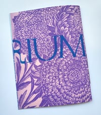 Image 5 of "DELIRIUM: A Secret Word No.2" - RISO booklet