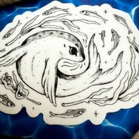 Image 2 of Harbor Seal Sticker