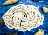 Image 1 of Harbor Seal Sticker