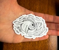 Image 3 of Harbor Seal Sticker