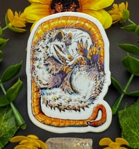 Image 1 of Mischievous Opossum Sticker