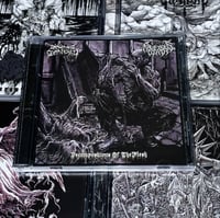 Image 2 of DRAWN & QUARTERED / RAVENOUS DEATH  “ Decompositions Of The Flesh”  CD