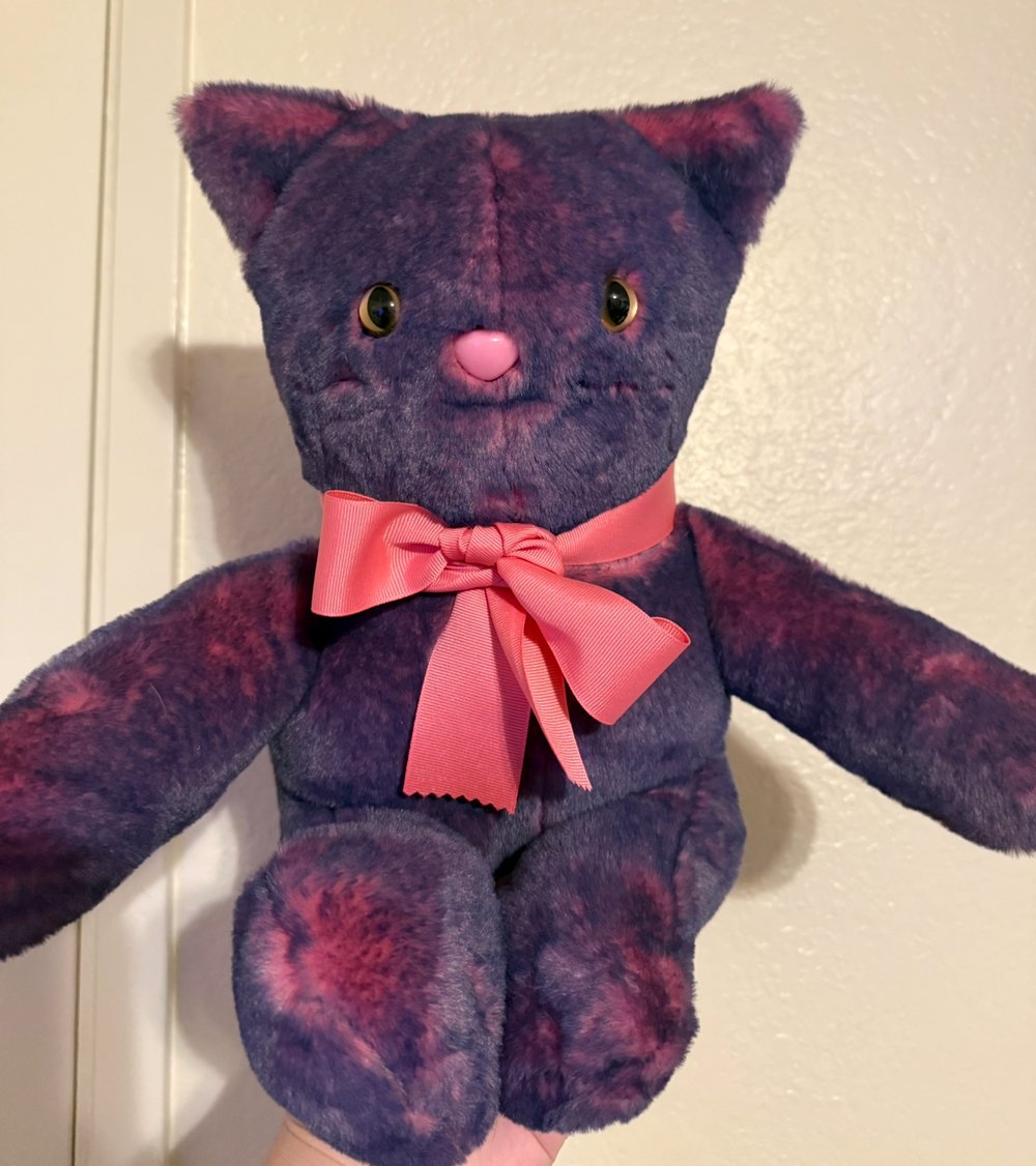 Image of Purple and Pink Cat