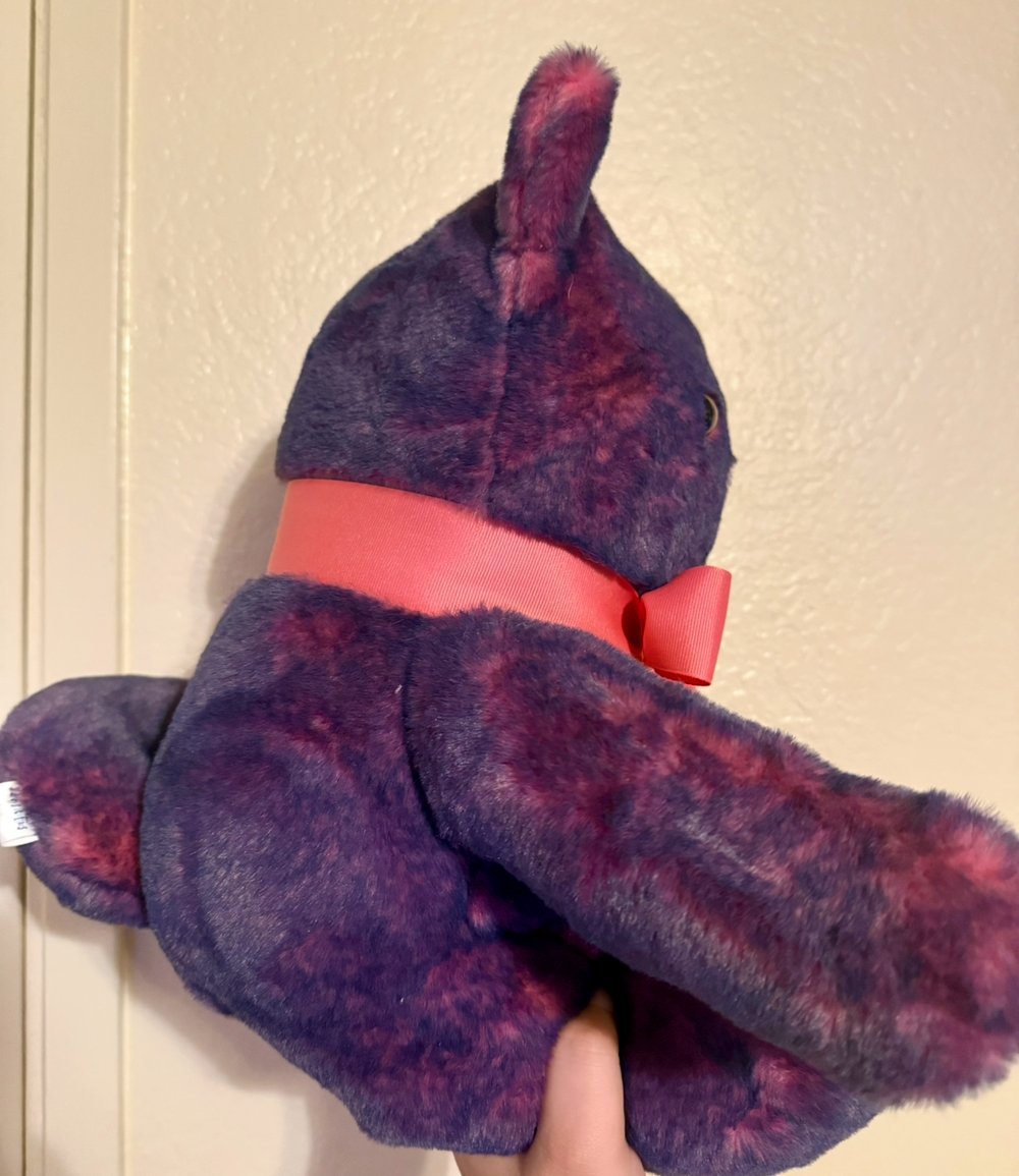 Image of Purple and Pink Cat