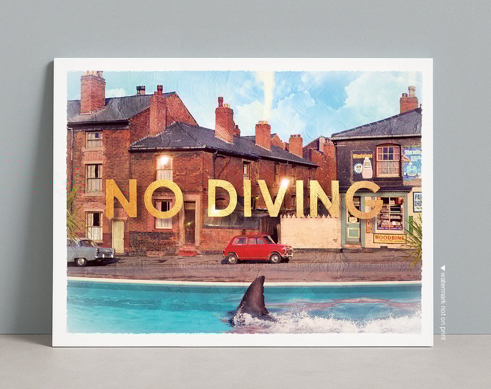 Image of No Diving