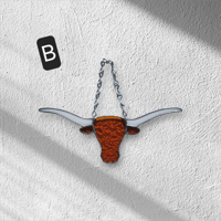 Image 3 of HOOK'EM HORNS BABY!!!