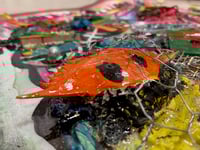 Image 2 of Inside the Brain