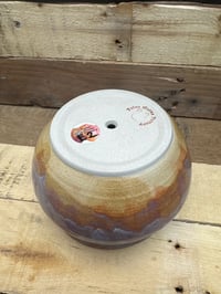 Image 5 of 6” planter from the Desert Flower collection