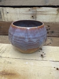 Image 1 of 6” planter from the Desert Flower collection v2