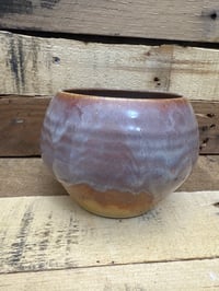 Image 2 of 6” planter from the Desert Flower collection v2