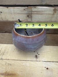 Image 4 of 6” planter from the Desert Flower collection v2