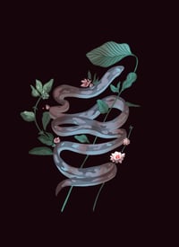 Year of the Woodsnake - Healing