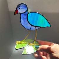 Image 3 of Purple Gallinule