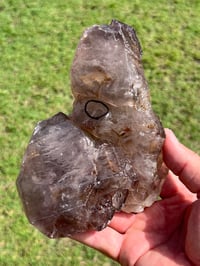 Image 3 of Smoky Quartz & Red Rutile Enhydro Multi Terminated Crystal | Zambia #3052