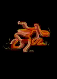 Year of the Woodsnake - Growth and Transformation