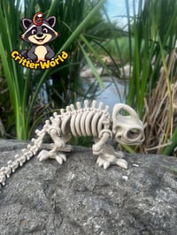 Skeleton Chameleon 