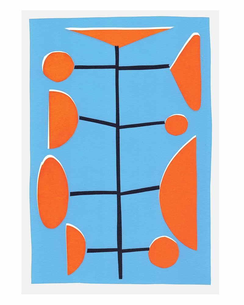 Image of Jazz Plant