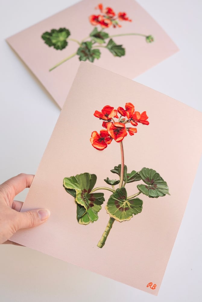 Image of GERANIUM I - GICLÉE PRINT