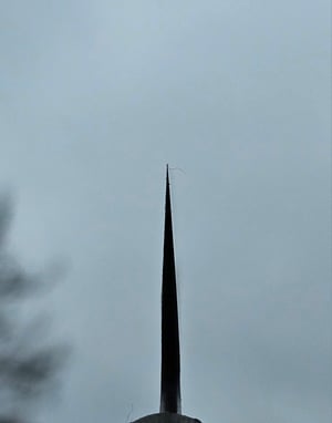 Image of 210 Gyuto Apex/BogOak
