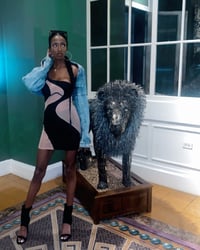 Image 2 of Freak Em Dress 