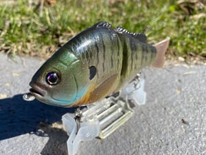 Image of 6” Ann Xslowsink (Bluey Gill)