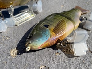 Image of 6” Ann Xslowsink (Bluey Gill)