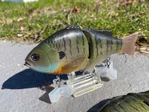 Image of 6” Ann Xslowsink (Bluey Gill)