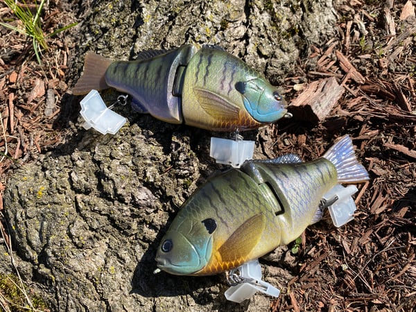 Image of 6” Ann Xslowsink (Bluey Gill)