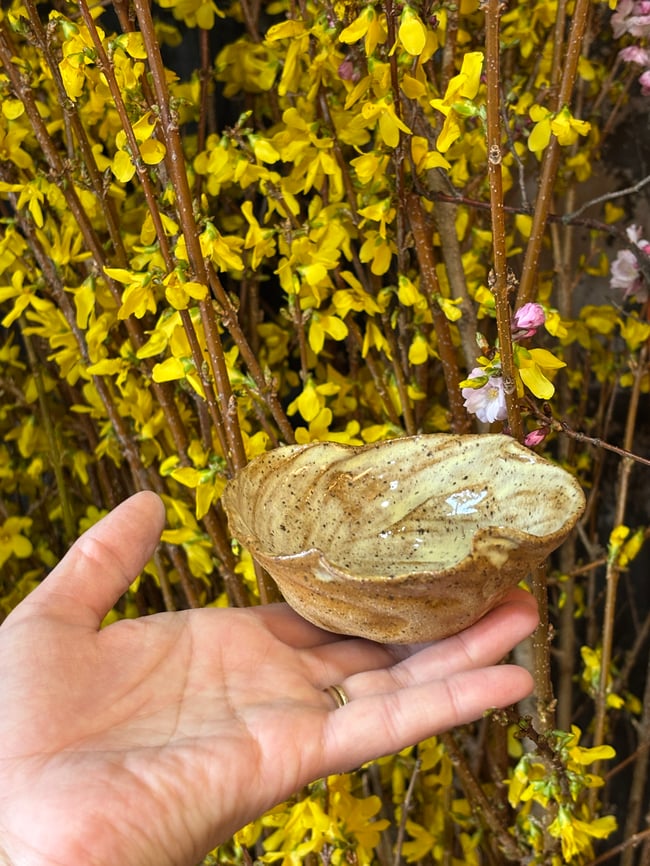 Buttery Mise en place bowl