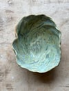 Algae Bowl