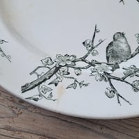 Image 4 of Stunning Monochrome English Bird Plate