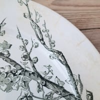 Image 5 of Stunning Monochrome English Bird Plate
