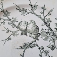 Image 2 of Stunning Monochrome English Bird Plate