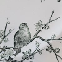 Image 3 of Stunning Monochrome English Bird Plate