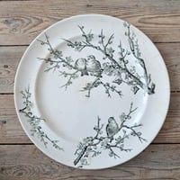 Image 1 of Stunning Monochrome English Bird Plate