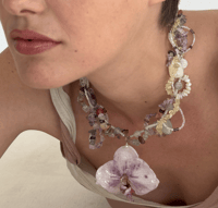 Image 4 of DRUSA