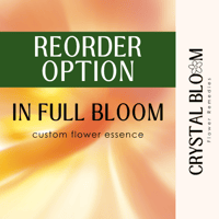 Image 1 of ✿ In Full Bloom — Reorder Option