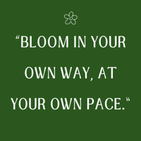 Image 2 of ✿ In Full Bloom — Reorder Option