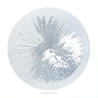Image 1 of Plate 8 Duotone