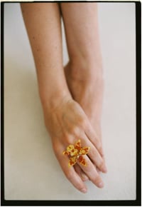 Image 1 of NÓDULO RING