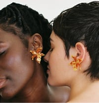 Image 1 of OBRA EARINGS
