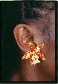 Image 3 of OBRA EARINGS