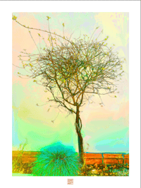 Image 1 of SOMEDAY I'LL BE A TREE (24X18)
