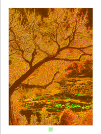 Image 1 of ORANGE CRUSH (24X18)