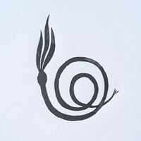 Image 3 of Snail Kelp Print
