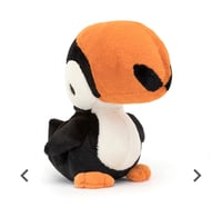 Bodacious Beak Toucan