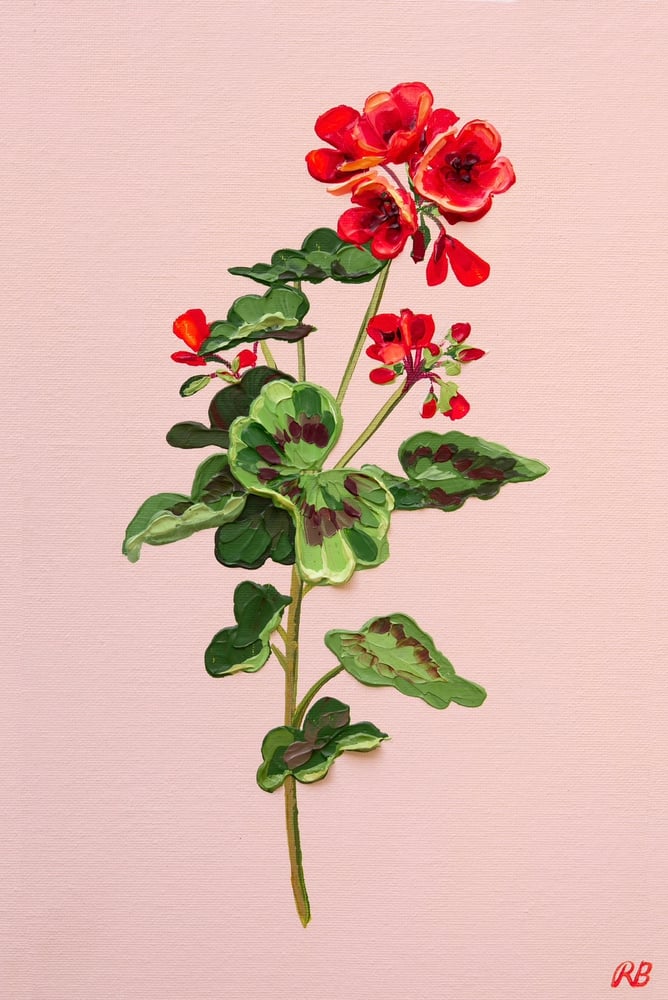 Image of GERANIUM V - GICLÉE PRINT